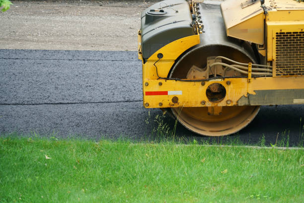 Best Local Driveway Pavers  in Mission, TX